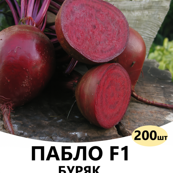 Буряк Пабло F1 Bejo