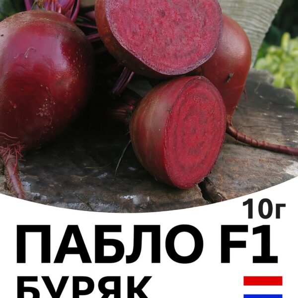 Буряк Пабло F1 Bejo