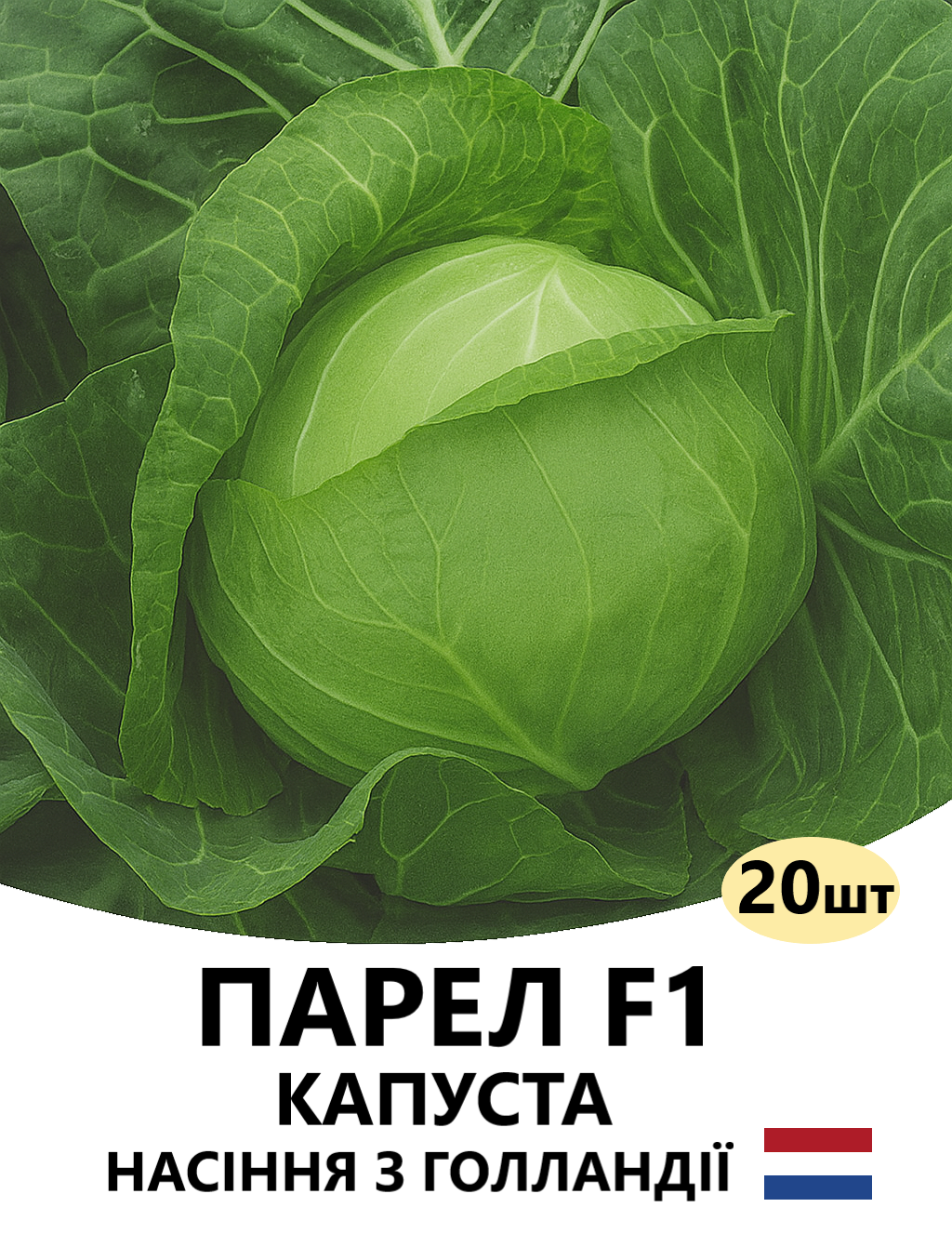 ПАРЕЛ 20