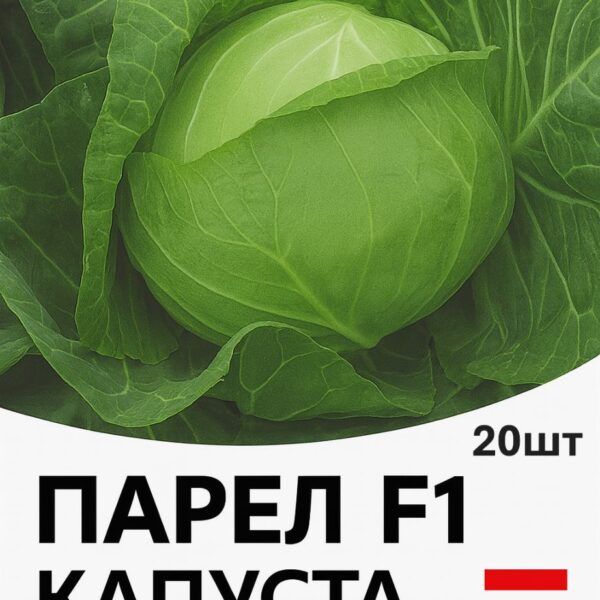 Капуста Парел F1 Bejo