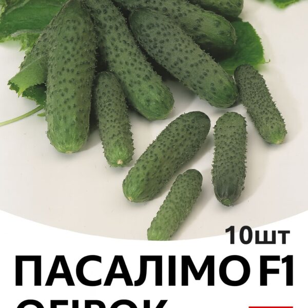 Огірок Пасалімо F1 Syngenta