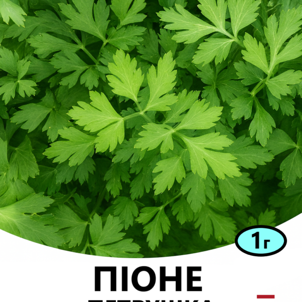 Петрушка Піоне ENZA ZADEN – 1г