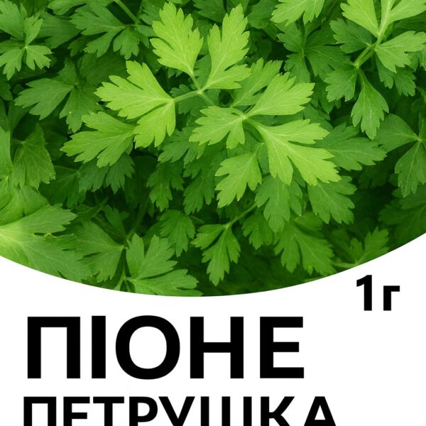 Петрушка Піоне F1 ENZA ZADEN