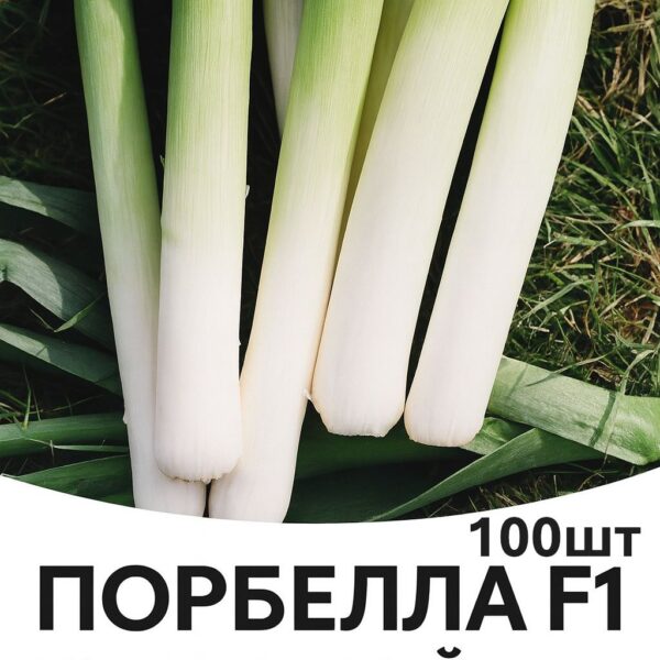 Цибуля порей Порбелла F1 Hazera