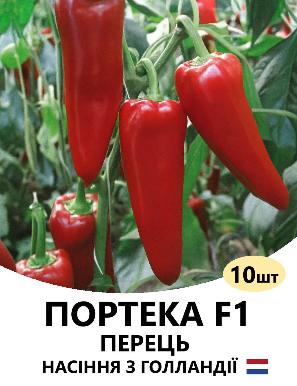 ПОРТЕКА 10
