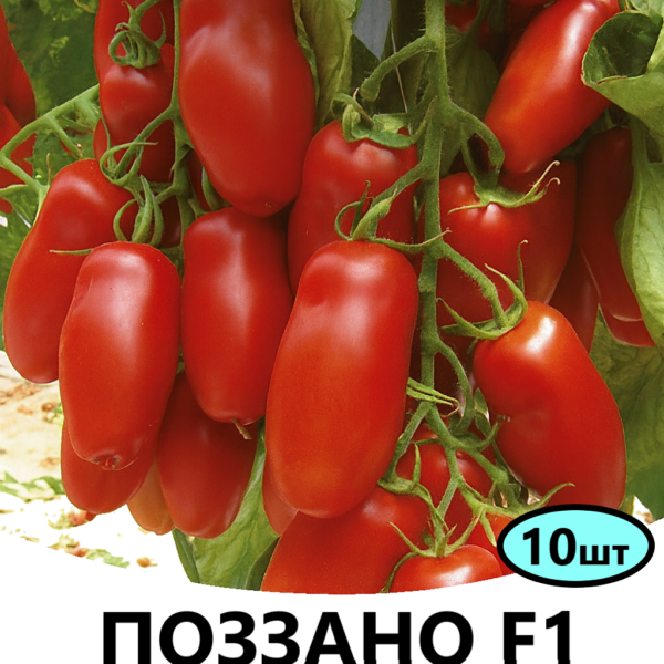 Томат Поззано F1 ENZA ZADEN – 10шт