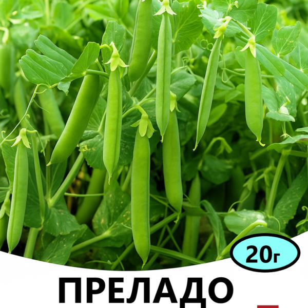 Горох ПРЕЛАДО Syngenta