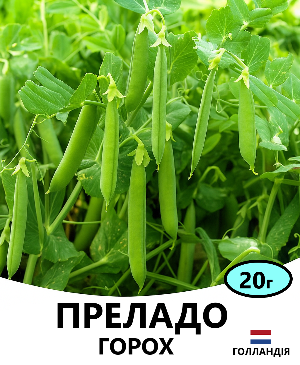 ПРЕЛАДО 20
