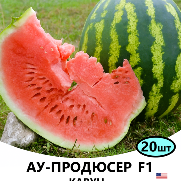Кавун Ау – Продюсер F1 Spark Seeds