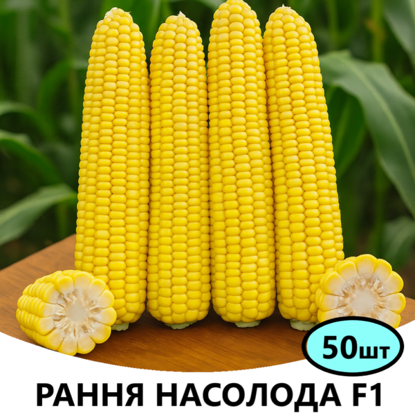 Кукурудза РанняНасолода F1 Spark Seeds – 50шт