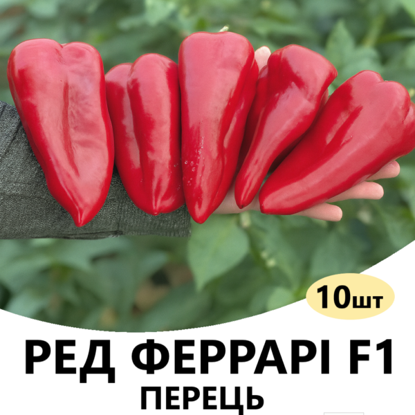 Перець Ред Феррарі F1 SAKATA