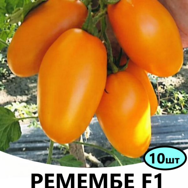 Томат Ремембе F1 Spark Seeds