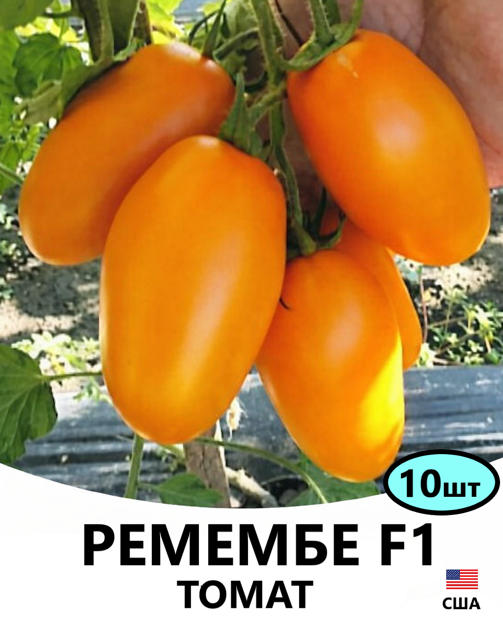 ремембе 10