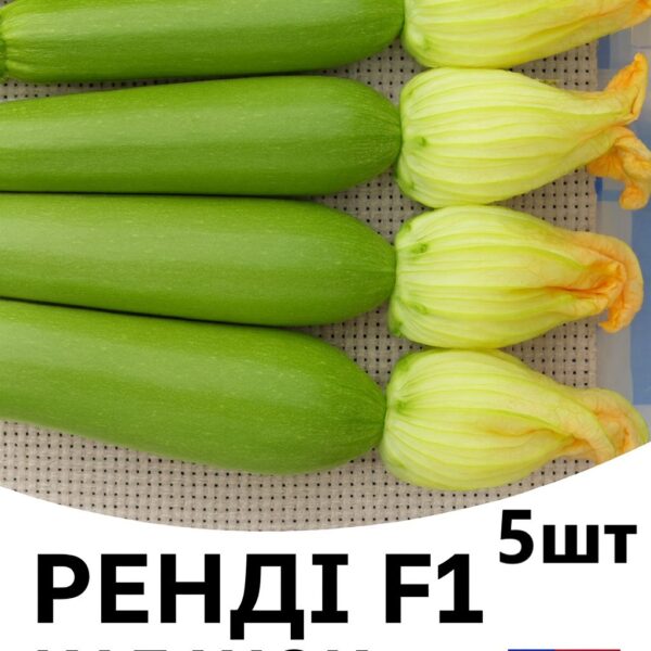 Кабачок Ренді F1 INNOVA SEEDS