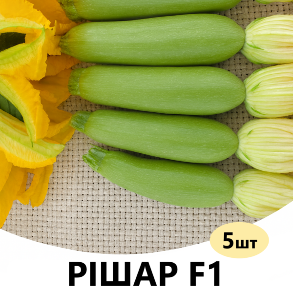 Кабачок Рішар F1 INNOVA SEEDS