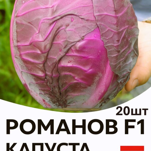 Капуста Романов F1 Hazera