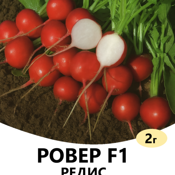 Редиска Ровер F1 Bejo – 2г