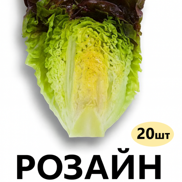 Салат Розайн Rijk Zwaan – 20шт
