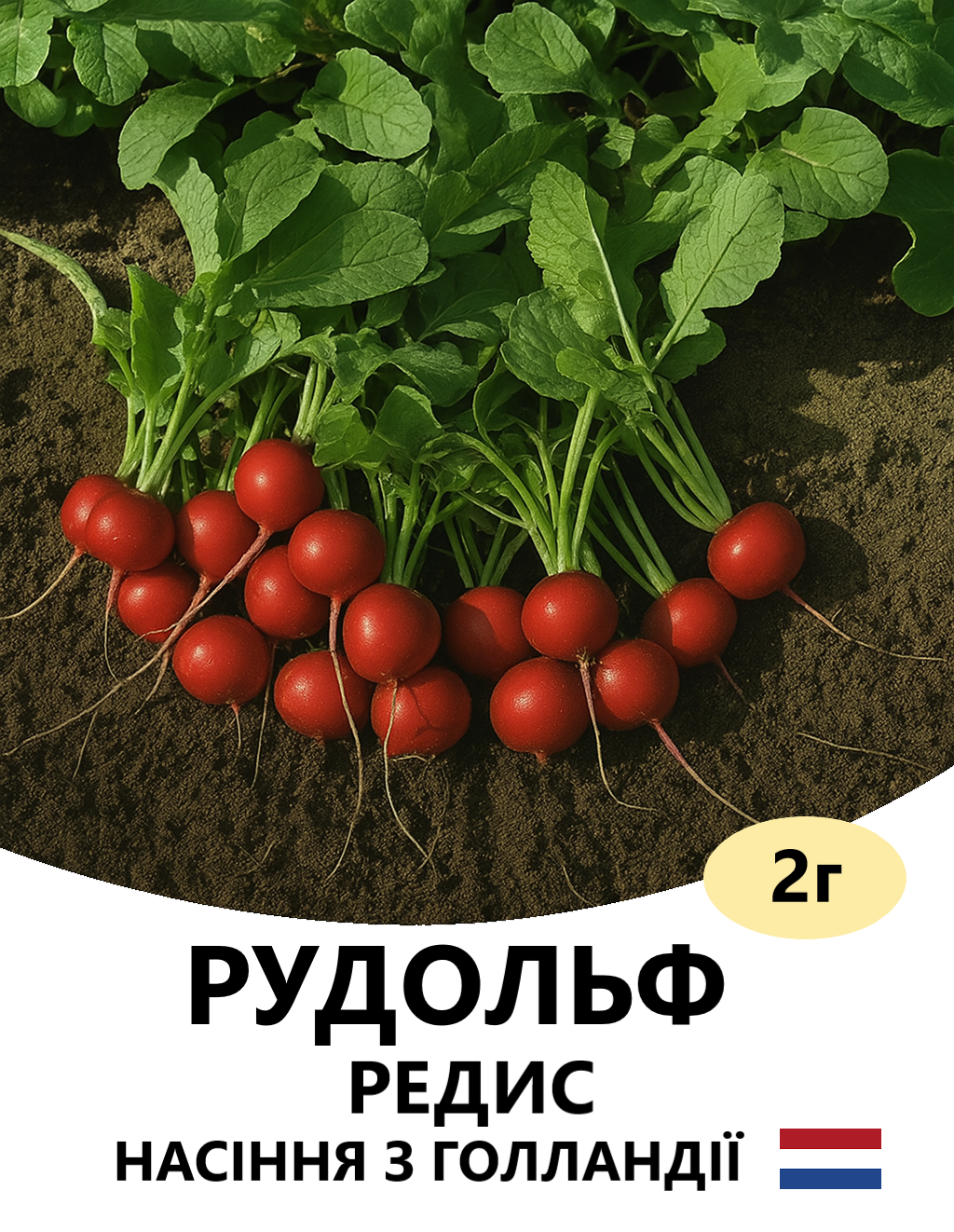 РУДОЛЬФ 2Г