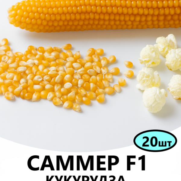 Кукурудза попкорн Саммер F1 Spark Seeds