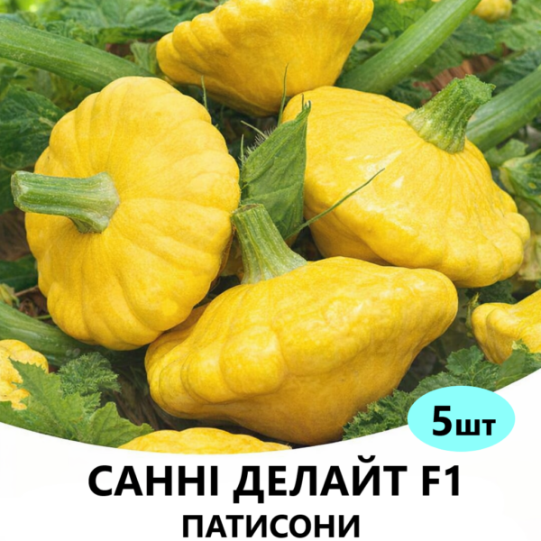 Патисон Санні Делайт F1 SEMINIS - 5шт