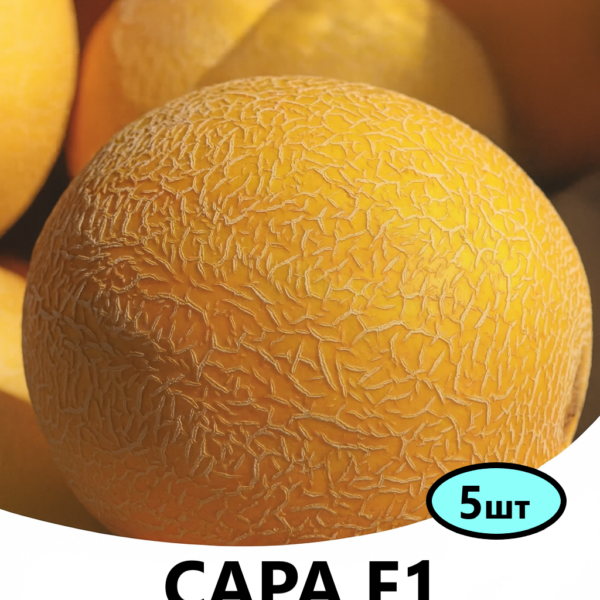 Диня Сара F1 INNOVA SEEDS