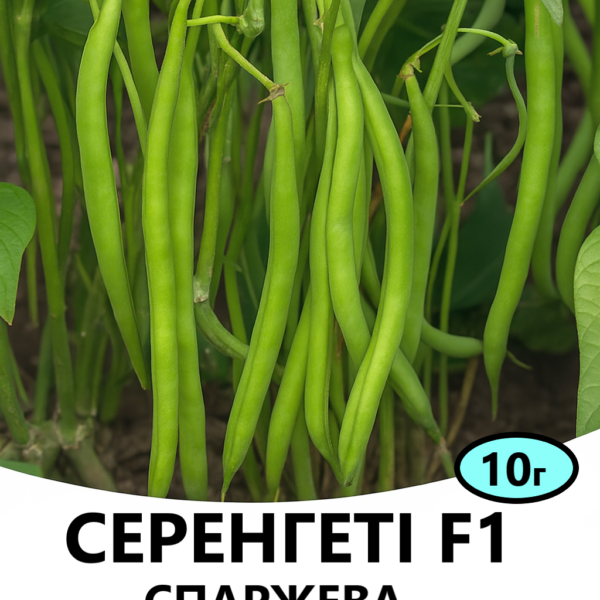 Спаржева квасоля Серенгеті F1 Syngenta – 10г