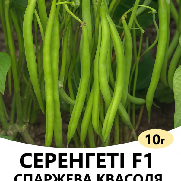 Спаржева квасоля Серенгеті F1 Syngenta – 10г