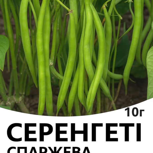Спаржева квасоля Серенгеті F1 Syngenta