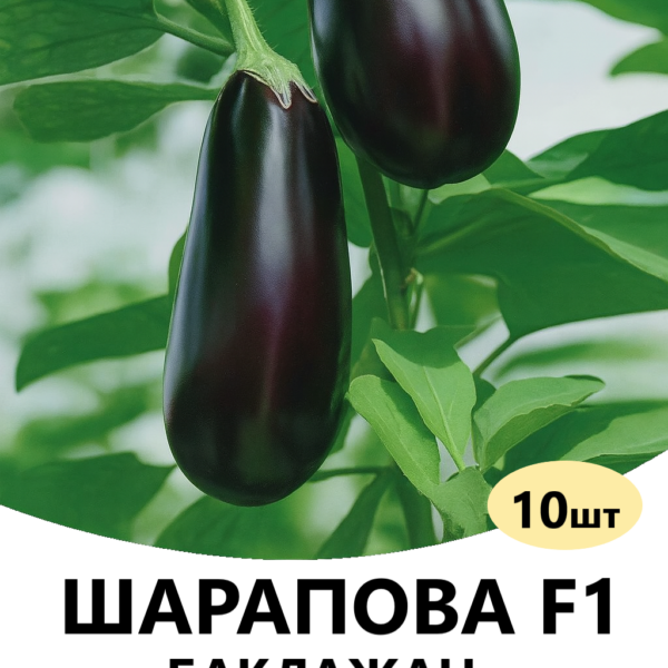 Баклажан Шарапова F1 Rijk Zwaan – 10шт.