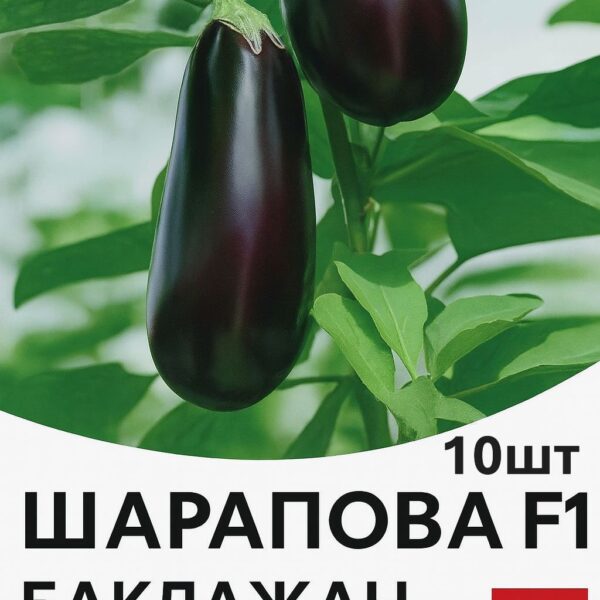 Баклажан Шарапова F1 Rijk Zwaan