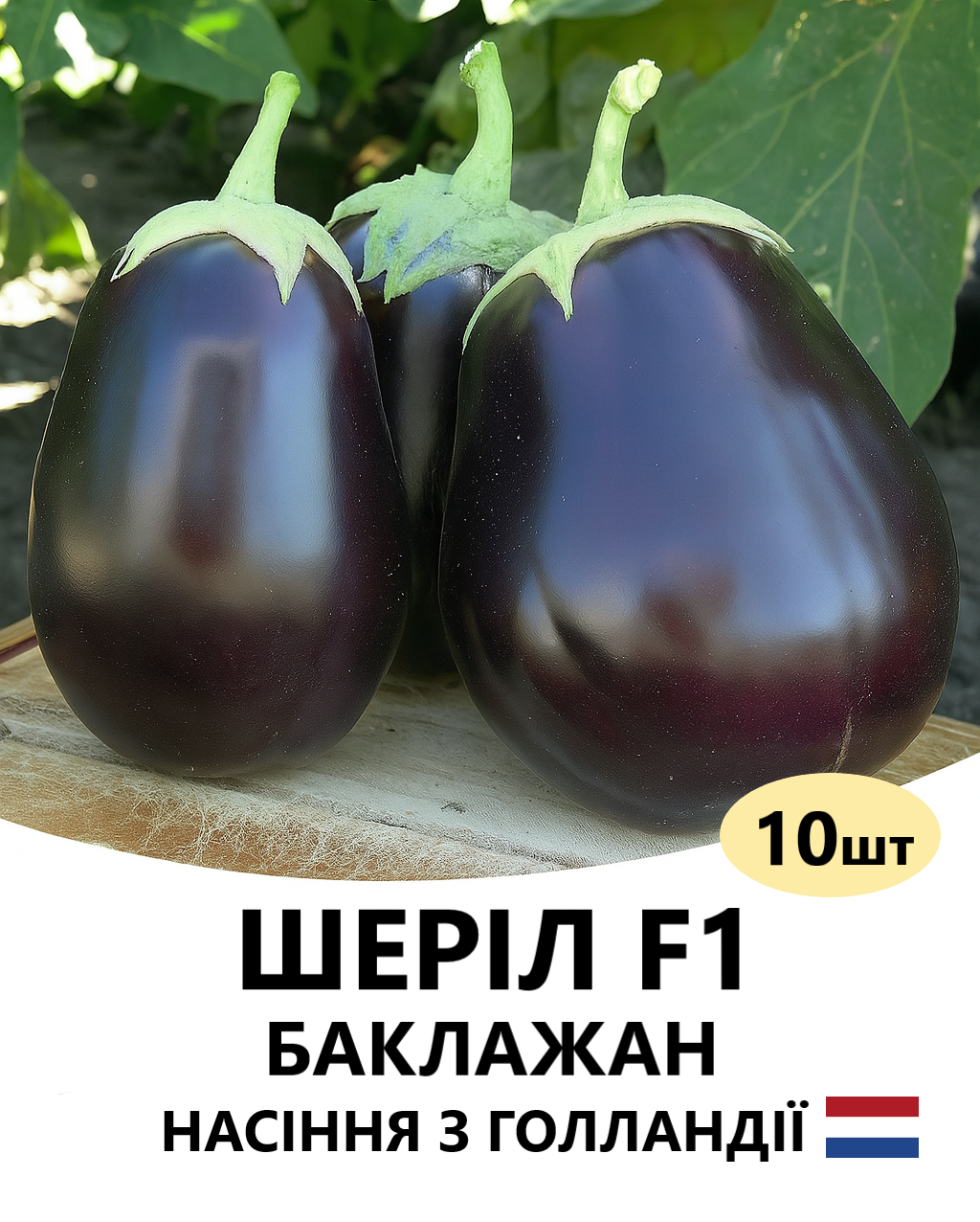 ШЕРІЛ 10
