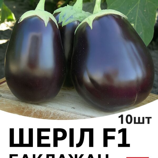 Баклажан Шеріл F1 Rijk Zwaan