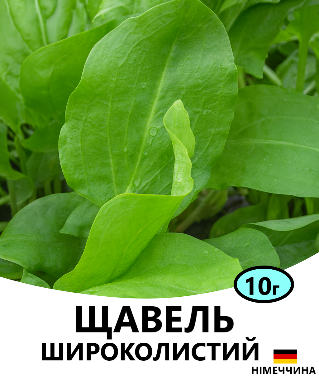 ЩАВЕЛЬ 10