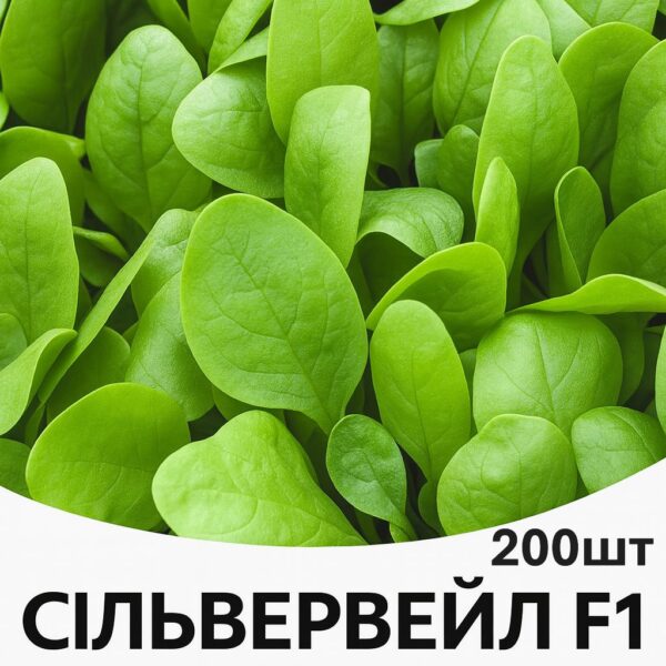 Шпинат Сільвервейл F1 Rijk Zwaan