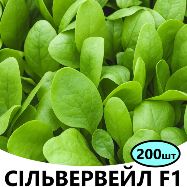 Шпинат Сільвервейл F1 Rijk Zwaan – 200шт