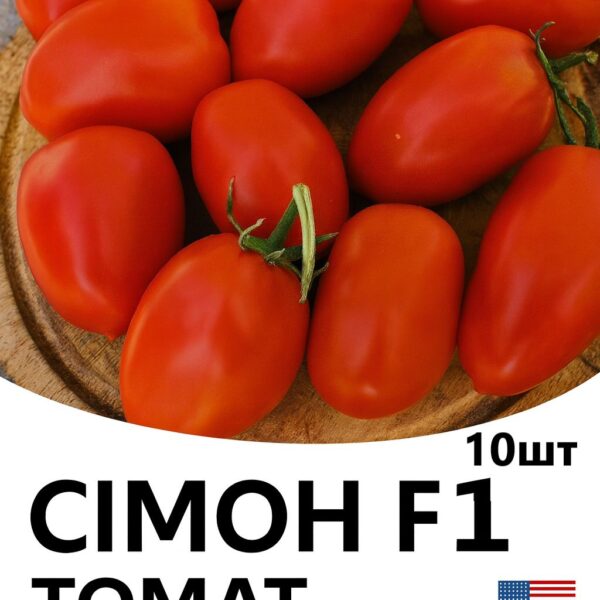 Томат Сімон F1 INNOVA SEEDS