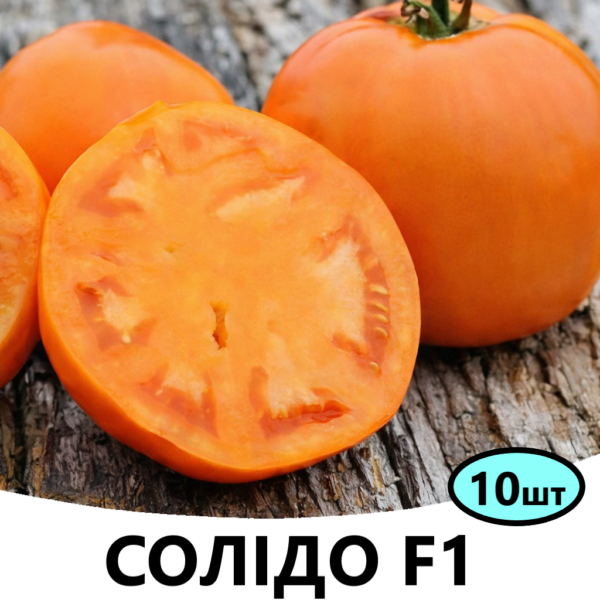 Томат Солідо F1 Spark Seeds