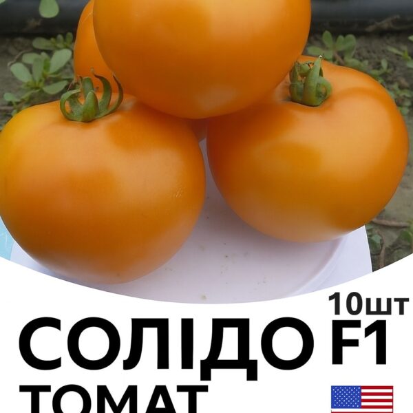 Томат Солідо F1 Spark Seeds