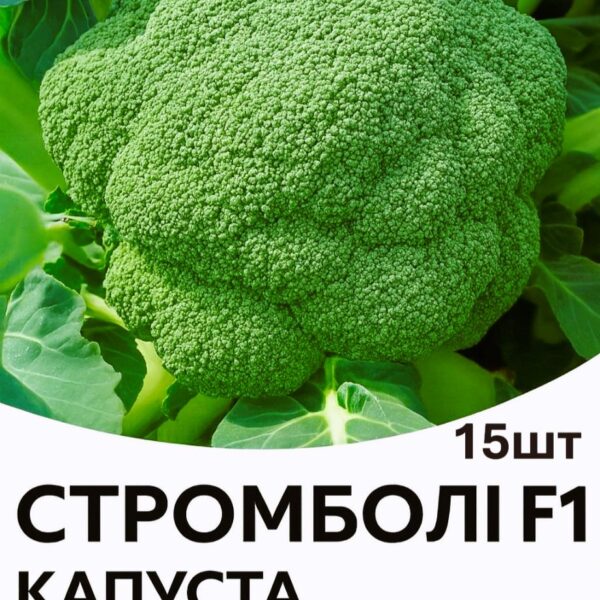 Капуста броколі Стромболі F1 Hazera