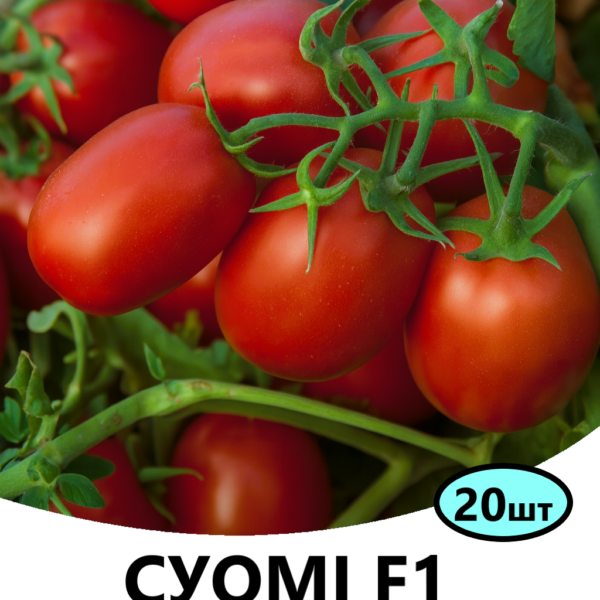 Томат СУОМІ F1 Syngenta