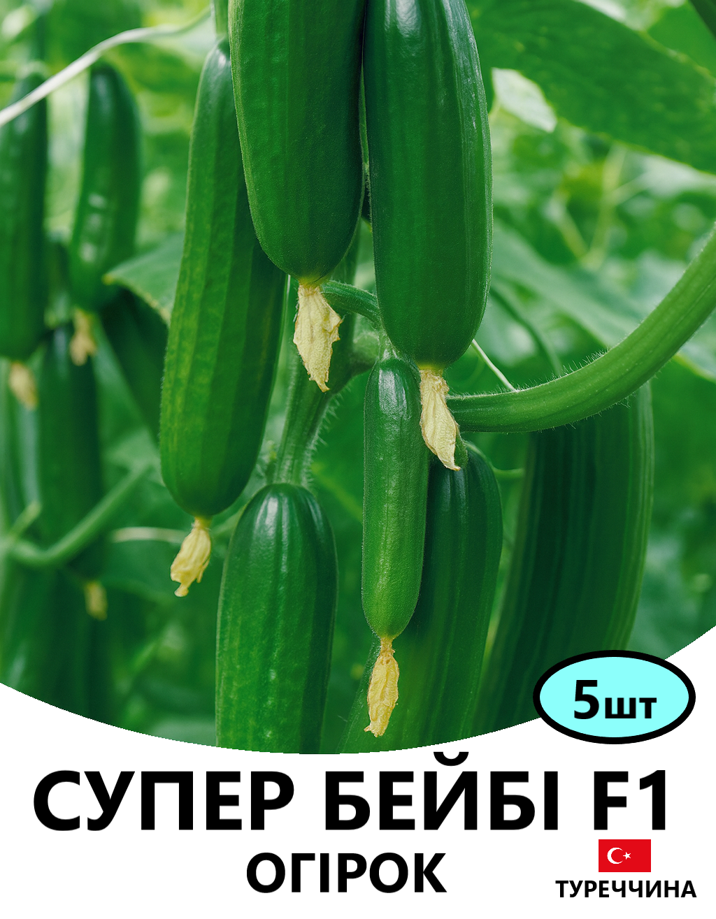 СУПЕР БЕЙБІ 5