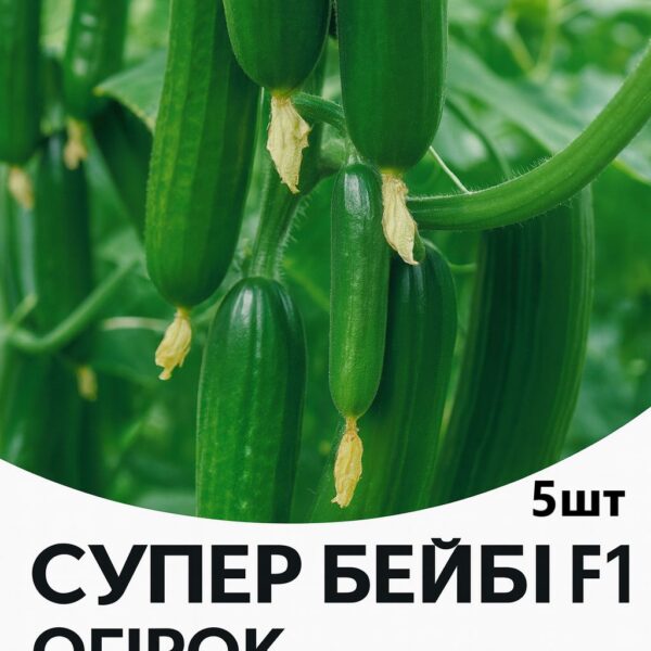 Огірок Супер Бейбі YUKSEL