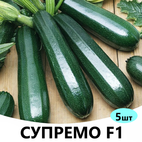Кабачок Супремо F1 SYNGENTA