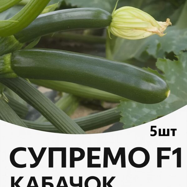 Кабачок Супремо F1 SYNGENTA