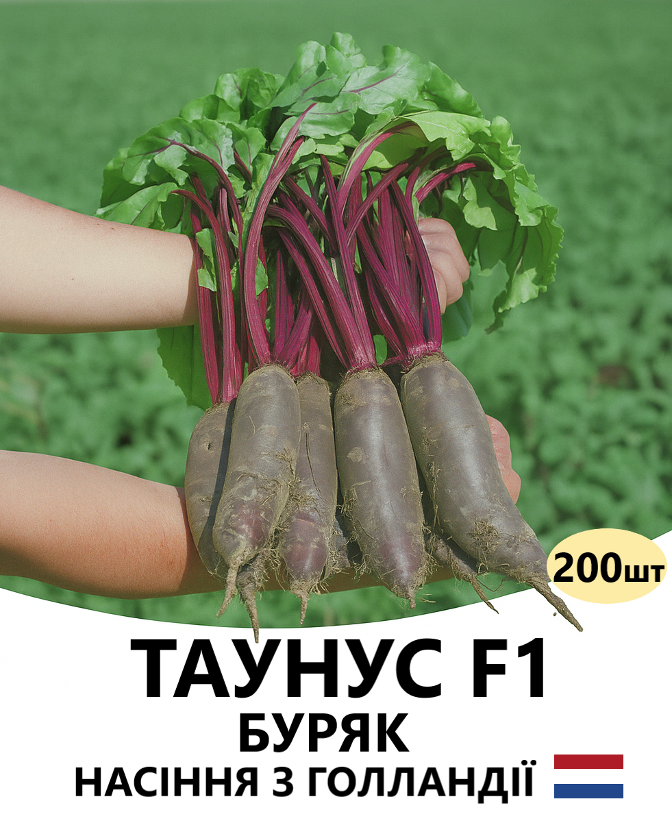 ТАУНУС 200