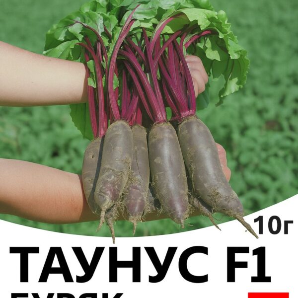 Буряк Таунус F1 Bejo