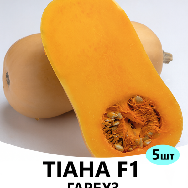 Гарбуз Тіана F1 ENZA ZADEN – 5шт.