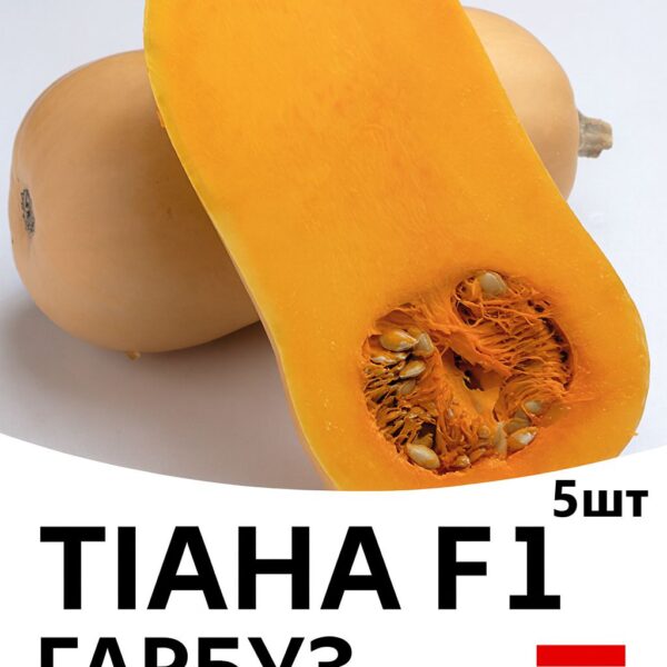 Гарбуз Тіана F1 ENZA ZADEN