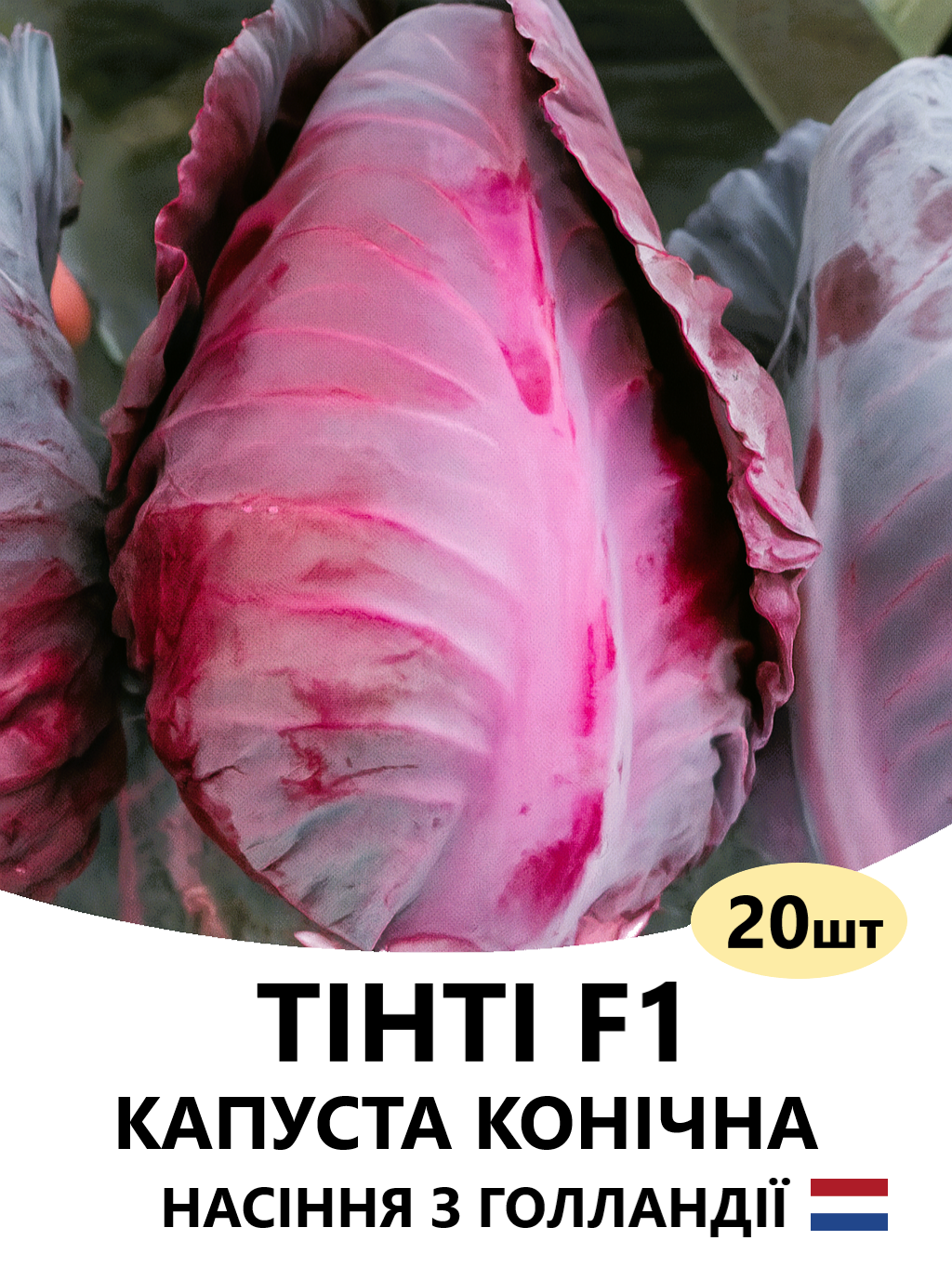 ТІНТІ 20